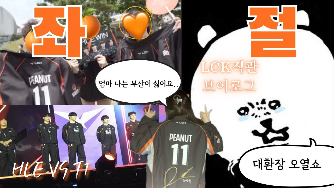 (재업)또 엄빠몰래 롤보러간 정신나간 고2의 LCK직관 브이로그(2) | 로드 투 msi 최종전 한화 VS 티원 | 주인장의 개큰오열쇼 | 한화화이팅…