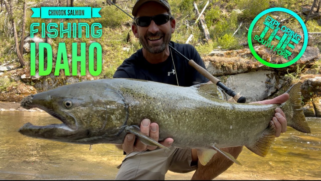 Chinook Salmon Fishing Idaho, Bushcraft Smoker, Catch and Cook! YouTube