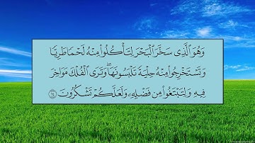 سورة النحل (الآية 1 ~ الآية 29) - سعود بن ابراهيم الشريم