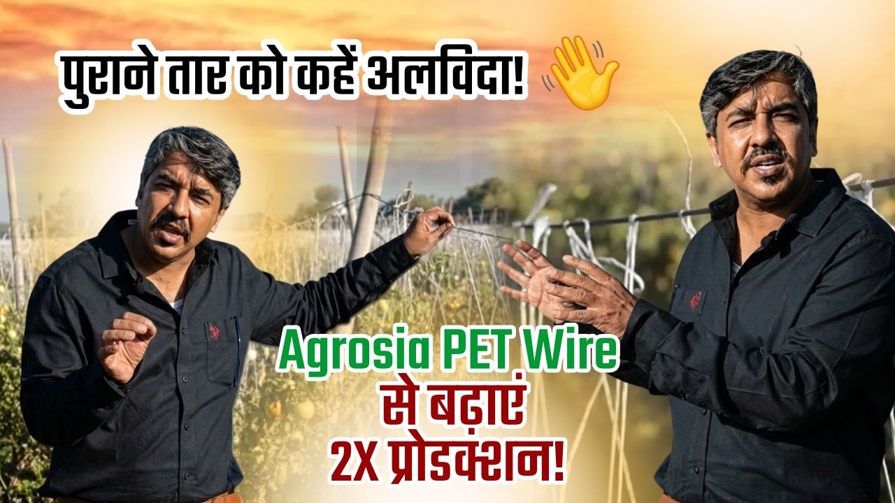 Agrosia PET Wire से खेती में बंपर उत्पादन | Iron Wire से सस्ता और 10 साल टिकाऊ