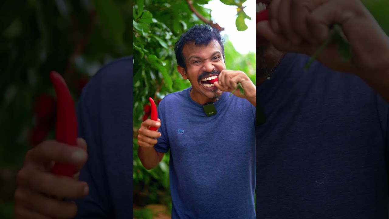 Banana Pepper vs Rambutan – Which Wins 🌶️🥊🥭