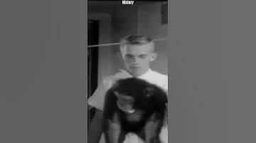 Ham the Astrochimp #shorts