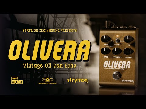 Strymon Olivera Oil Can Echo