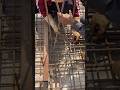 How to Build a Strong Brick Pillar Step by Step | Brickwork Tutorial#heavycivil #concretework