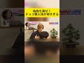 見分けられる?リアルすぎるチョコスイーツ