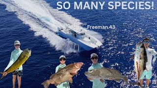 100 Mile Run 43 Freeman (Grouper Snapper Mahi Tuna AJs & More)