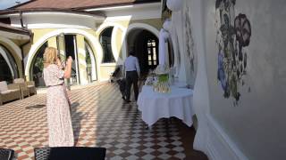 Видео Праздничная обстановка (автор: Наталья Шевченко)