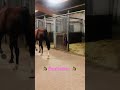 Ref:fglejwHVER8 ? �quitation ?