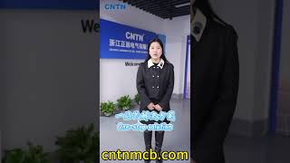 CNTN Electric's Overseas Engineering Projects