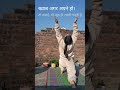 alone but.....strong enough .#yoga #reelitfeelit_ #explorepage #reels #motivation