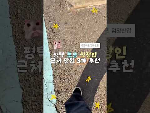 유장춘닭개장