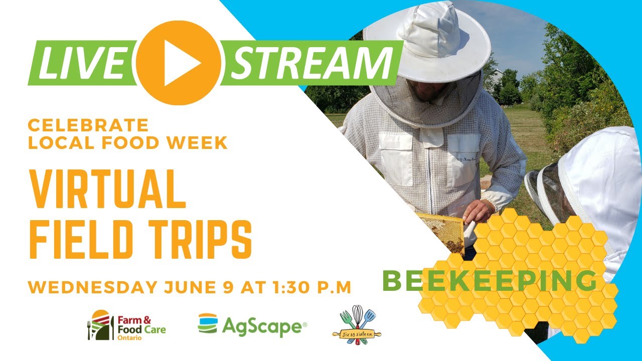 Virtual Field Trip: Beekeeping - YouTube
