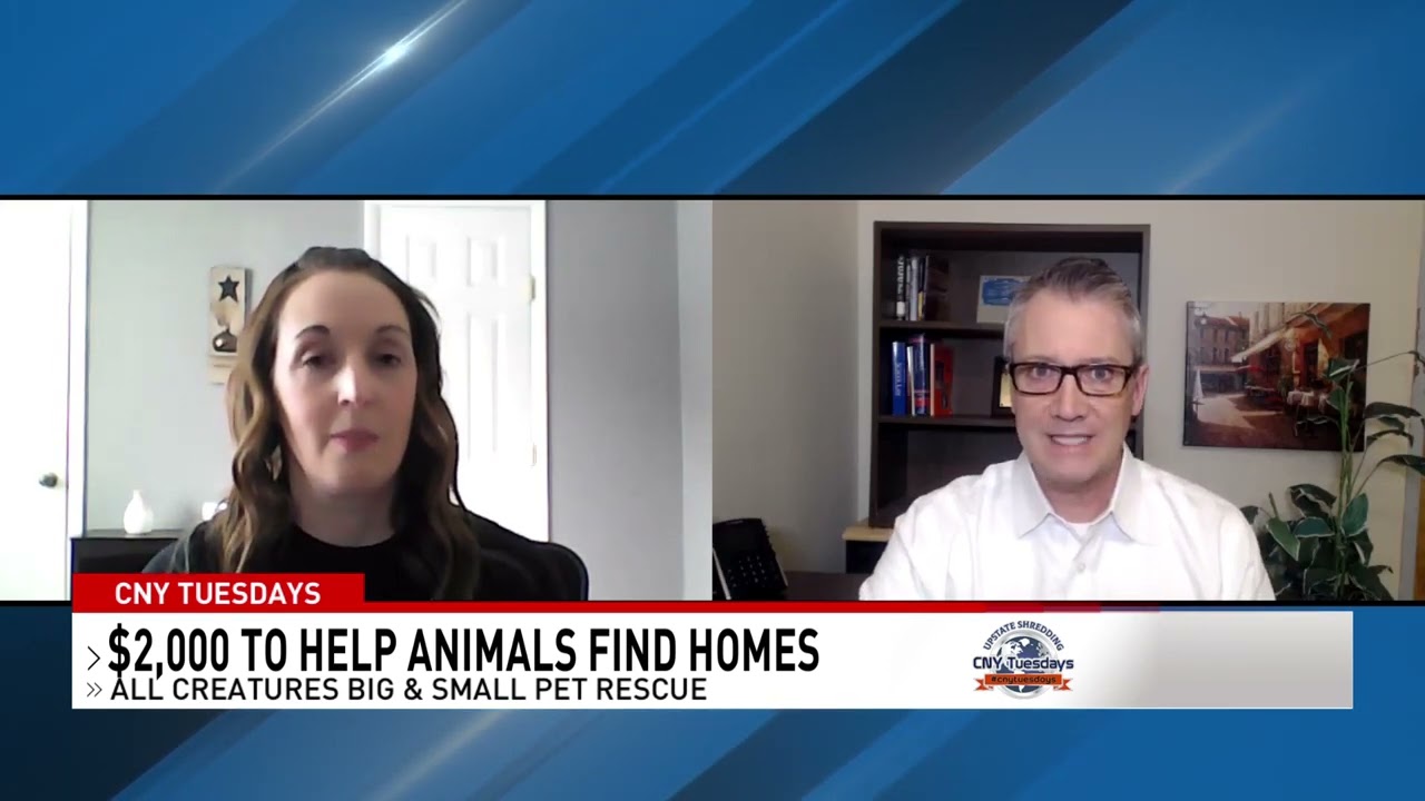 CNY Tuesdays--All Creatures Big and Small Pet Rescue