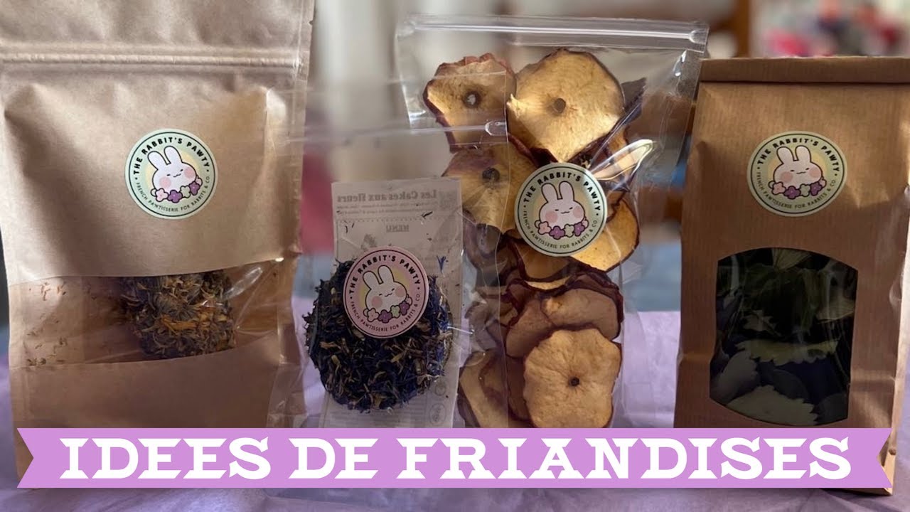 IDEES DE FRIANDISES POUR COCHON D’INDE - YouTube