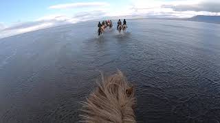 Horseback riding across Lagoon Hope in north Iceland