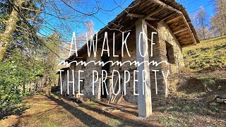 A Walk on the Property