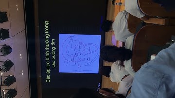 LT Thăm dò huyết động các dòng chảy trong tim 1