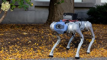 Robots that learn from machine dreams