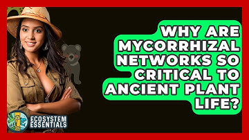 Why Are Mycorrhizal Networks So Critical To Ancient Plant Life? - Ecosystem Essentials
