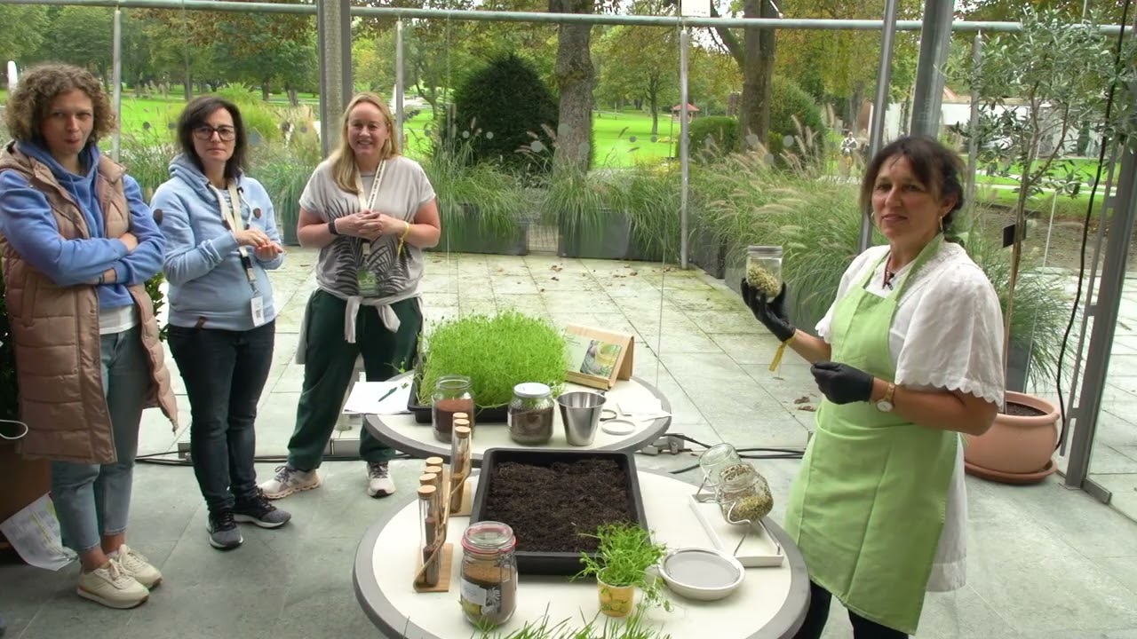 Sprossen selber ziehen: So einfach geht's! - Superfood für deinen Salat & deine Gesundheit