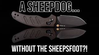 Great Knife, But Does it Make Sense?? - Kizer Knives Sheepdog (C01C 2.9 CD) Drop Point