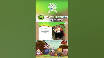 🔴🐼 Safari met rode panda