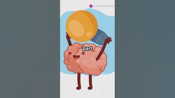 Your Brain Predicts the Future… Here’s How 😳🧠 #neuroscience #shorts