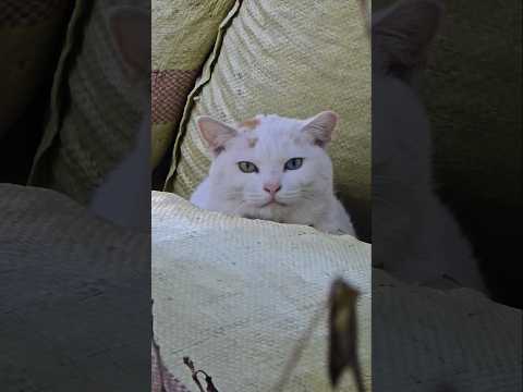 우리도 성남시처럼 현수막 만들어주었으면..