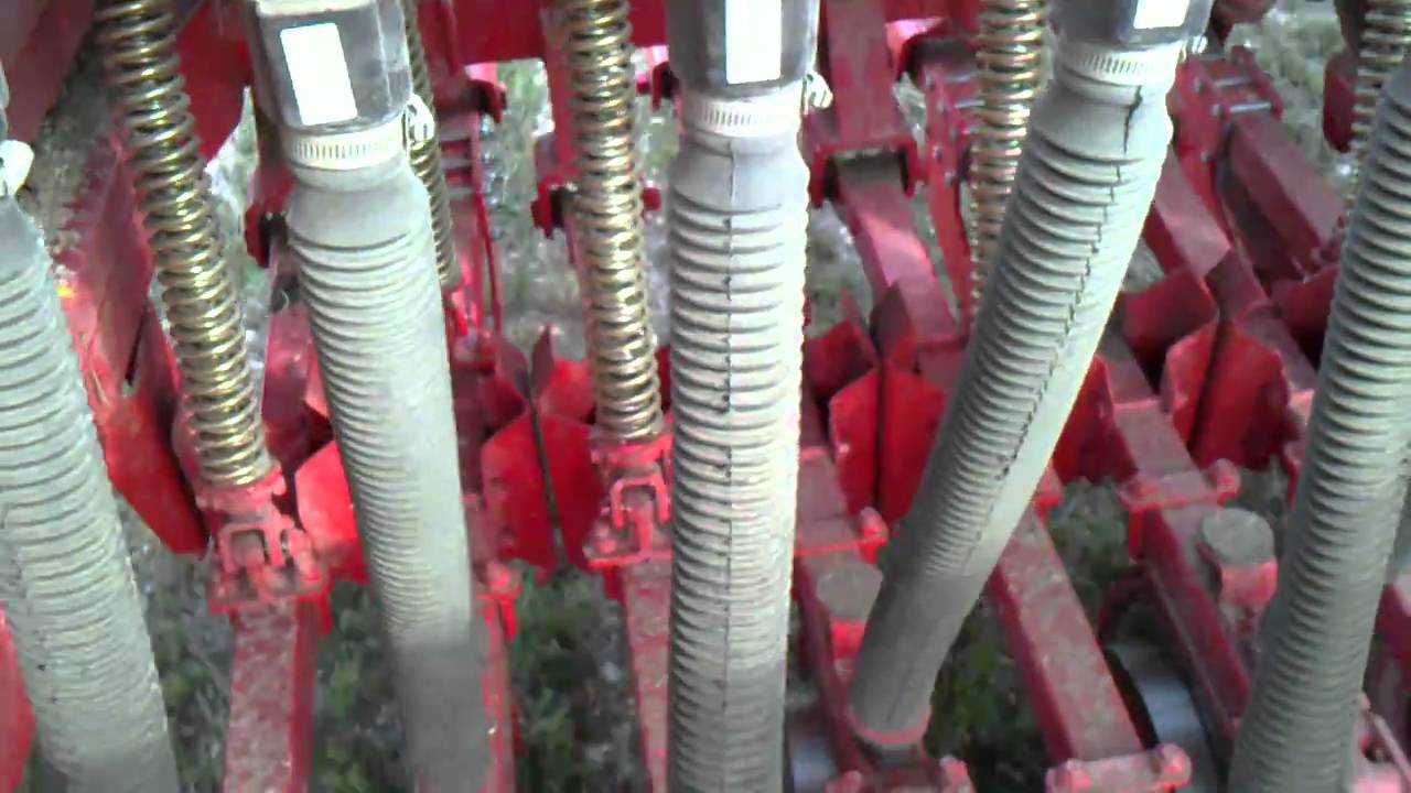 semis direct  via semeato