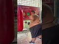 Giant fighter 230Kg