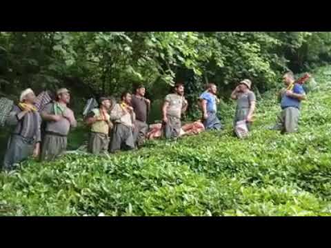 პატაკის ჩაბარება