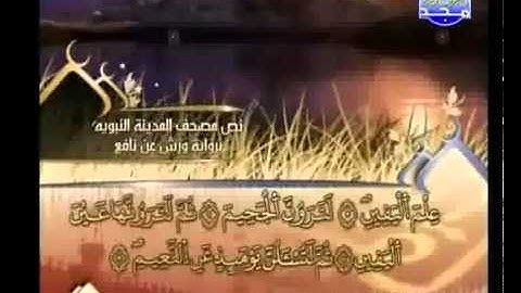العيون الكوشي   سورة التكاثر