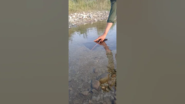 hook Fishing trapping #bigfish #catfish #viralreels #short 2025