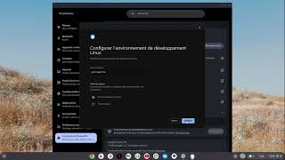 Tuto Configurerinstaller Linux Sur Ton Chromebook