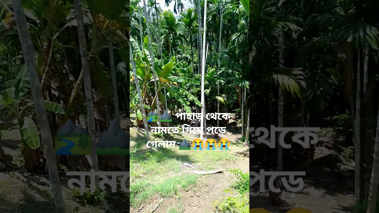 👍👍দুনিয়াটাই টাকা#vido#short