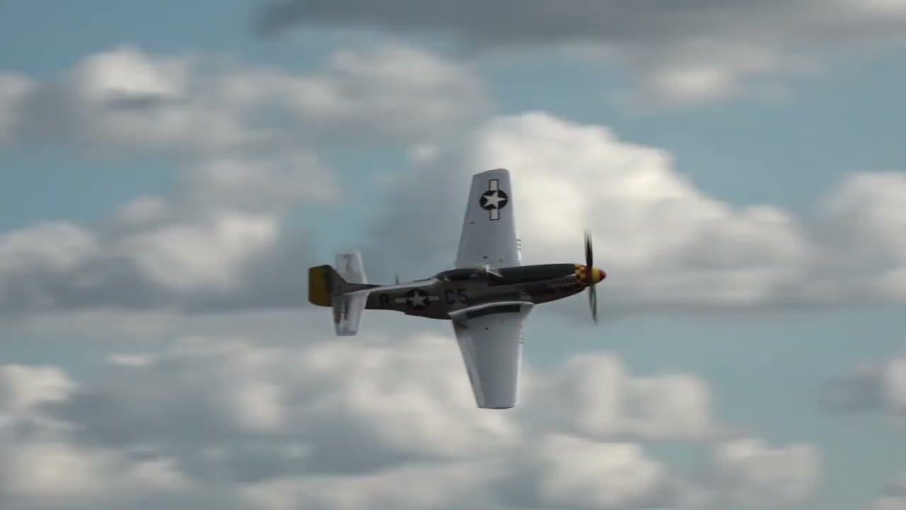 Warbirds Over Monroe 2022 R.T. Dickson P-51D Mustang "Swamp Fox"