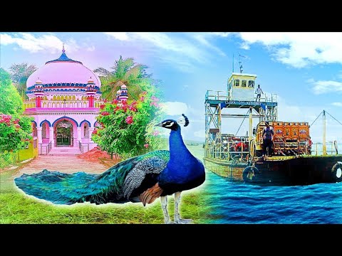 Malud: Dargha of Malud in Puri, Odisha || Beautiful Mazaar🌴