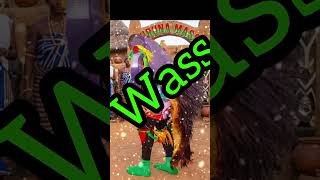 Bb Brice Wass Wass Wass