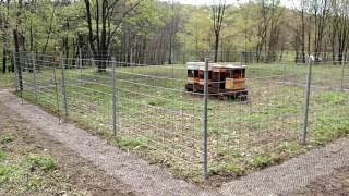 New Apiary - Final Walkthrough
