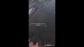 Рыбалка на живца Москва река, общение
