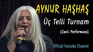 Video thumbnail of "Aynur Haşhaş - Üç Telli Turnam (Canlı Performans)"