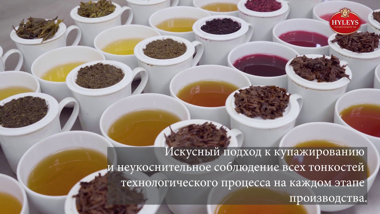 Hyleys- лучшие свойства чая