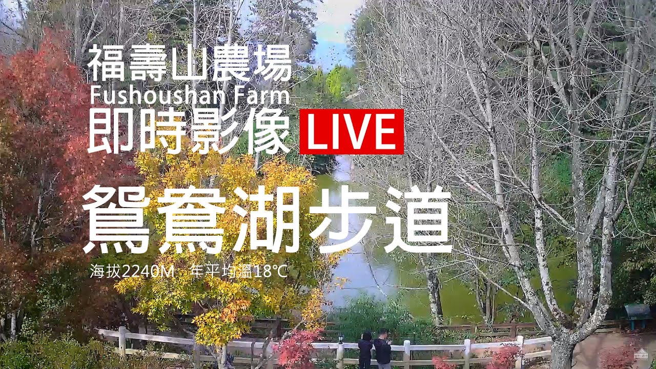 福壽山農場鴛鴦湖步道
