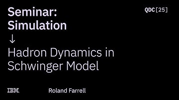 Roland Farrell | Hadron Dynamics in Schwinger Model | QDC 2025