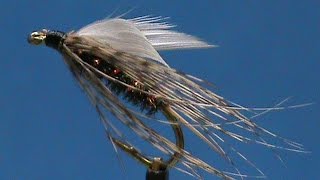 Beginner Fly Tying a Peacock and orange Soft Hackle Wet with Jim Misiura