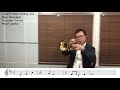 I Can't stop loving you(Ray Charles)Trumpet Cover Moon Jaeho