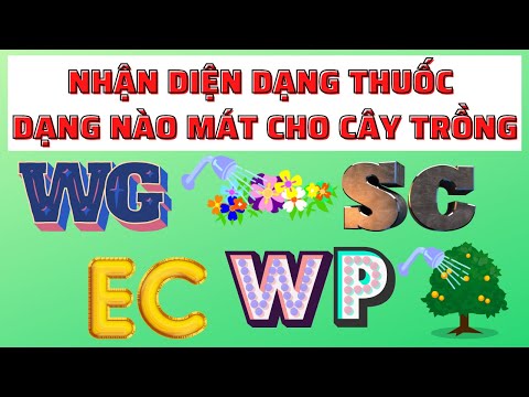 Video: Ưu điểm của Làm mát Phòng - Làm mát Phòng Trái cây và Rau quả