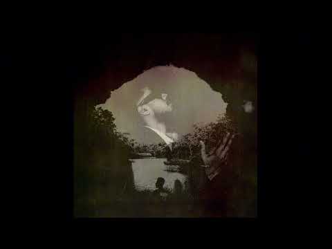 Zany Inzane - Tolami