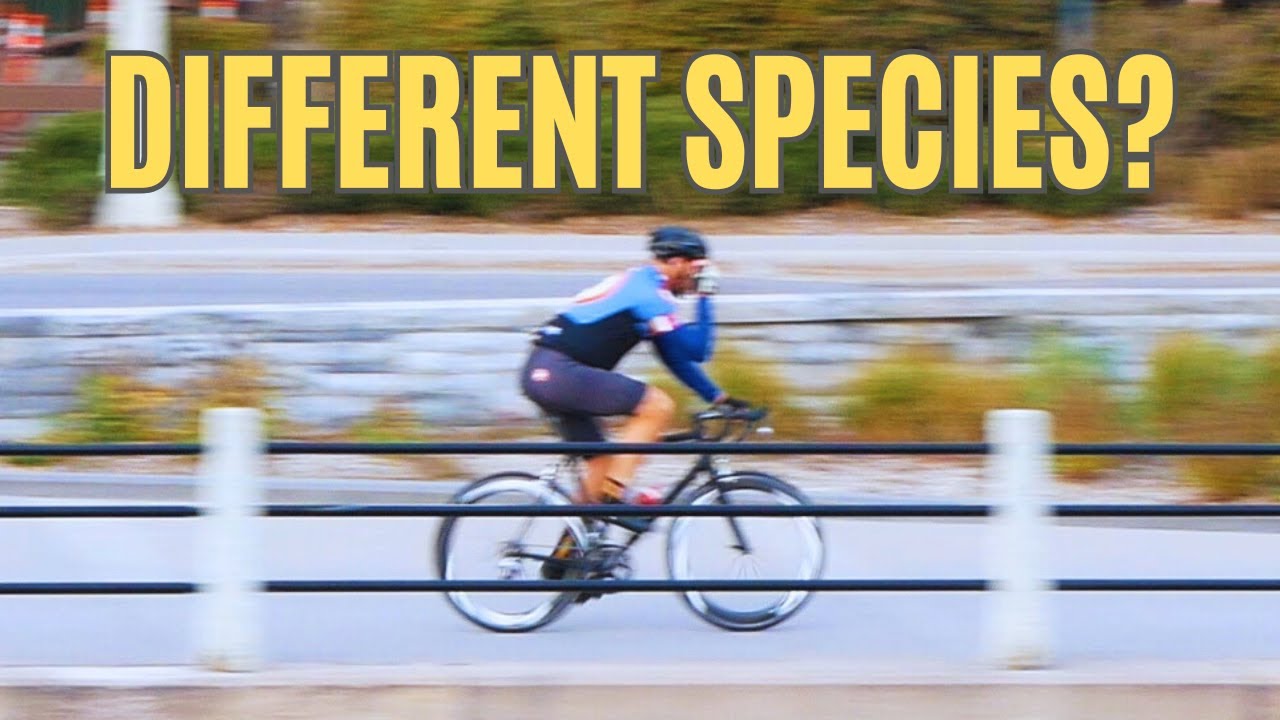 Столкновение культур: действительно ли существует два типа велосипедистов?