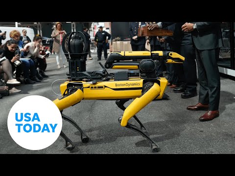 NYC Mayor Eric Adams announces the return of robot dog to the NYPD | USA TODAY